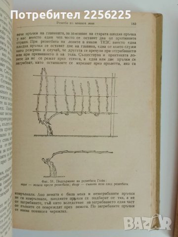 Лозарство 1957г (1и2 част), снимка 4 - Специализирана литература - 51113627