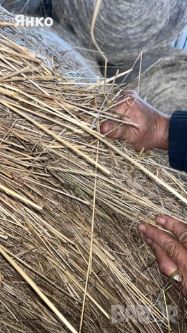 Бали слама и сено рулонни, снимка 7 - За селскостопански - 52337096