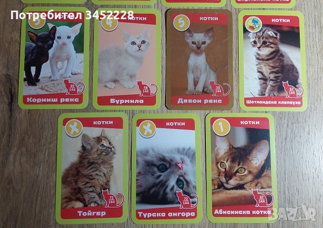 карти за колекционери 19 броя , снимка 2 - Колекции - 52957692