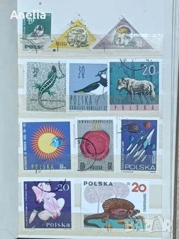 ЛОТ: 3 пълни албума с пощенски марки (Космос, Животни, Ретро серии)
