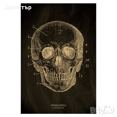 Постер Плакат кораб 35/51 см, снимка 12 - Декорация за дома - 40699585