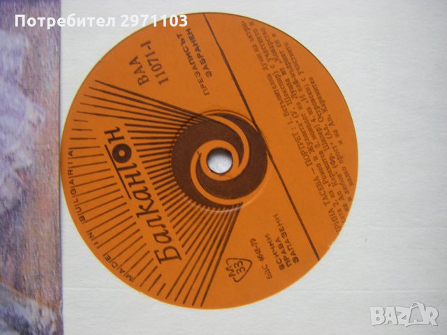  ВАА 11071 - Портрет / Ирина Тасева, снимка 3 - Грамофонни плочи - 35286335