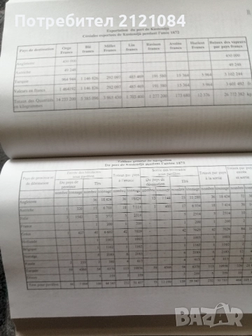 Извори за историята на Добруджа 1853-1878. Том 3 - 4 , снимка 6 - Българска литература - 52352633