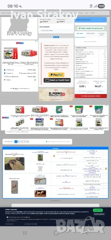 питбулчета от най-добрите разплодници в Европа , снимка 11 - Питбул - 54317331