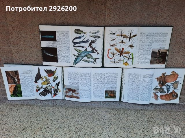 ЕНЦИКЛОПЕДИЯ ЗА ЖИВОТНИ 5БР., снимка 4 - Енциклопедии, справочници - 38065436