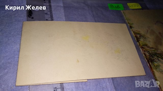 ДВЕ СТАРИ БЪЛГАРСКИ РЕДКИ ПОЩЕНСКИ КАРТИЧКИ СПОРТ и ПРИРОДА 6580, снимка 8 - Филателия - 38572248