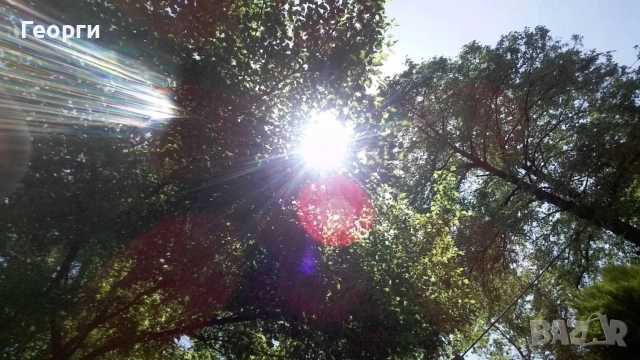 Рехабилитация Лечебен Масаж