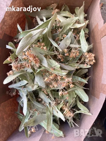 билки чай сок от бъз шипки подправки, снимка 14 - Домашни продукти - 46575710