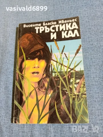 Висенте Ибаньес - Тръстика и кал 