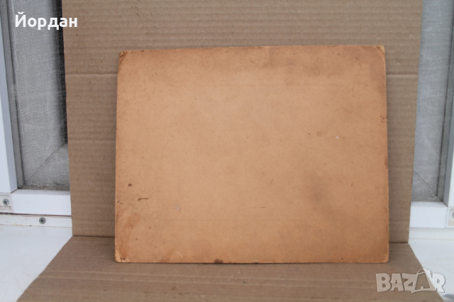 Снимка жени, снимка 8 - Други ценни предмети - 44639147