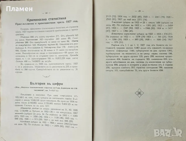 Общо Български периодиченъ индустриаленъ занаятчийски алманахъ 1928-1929, снимка 6 - Антикварни и старинни предмети - 49584189