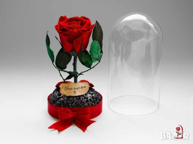 Оригинален Подарък за Рожден Ден на Жена / Естествена Вечна Роза в Стъкленица / Жива Вечна Роза, снимка 7 - Подаръци за имен ден - 38771445