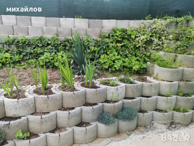Терасиране на двор,подпорни стени, снимка 11 - Градински цветя и растения - 21446071