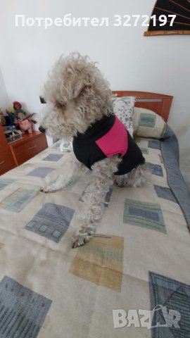 Ново! Топло яке за куче, есен и зима,дебело,водоустойчиво, снимка 12 - За кучета - 40442231