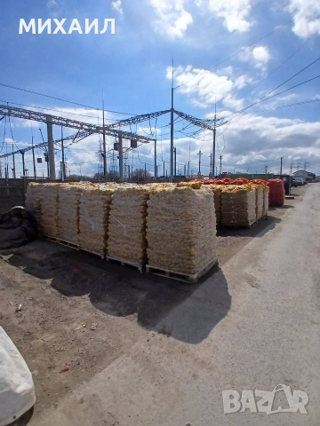 Картофи Сорая за консумация , снимка 3 - Други - 54230719