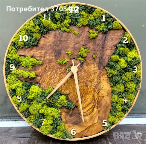 Часовник от маслиново дърво и скандинавски мъх