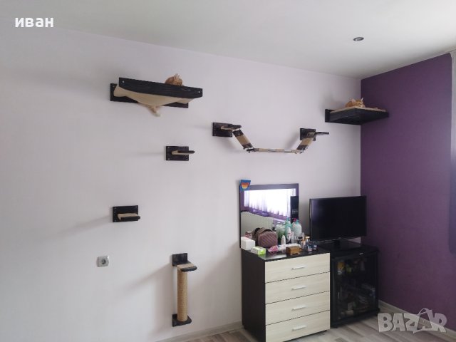 Котешка стена за игра и релакс , снимка 8 - За котки - 42215307