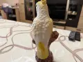 Порцеланов папагал Корела, снимка 6
