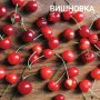 Продавам Вишни и Вишновки, снимка 5