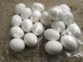  Изкуствени пластмасови яйца за кокошки  тежки , снимка 3
