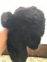 Детска кожена шапка - тип ушанка, снимка 2