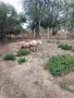 продавам ил дьо франс мъжки, снимка 1