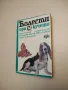 Водният бивол - Алеко Алексиев, снимка 10