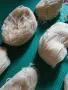Комплект прежда (21 кълбета) + специална торба, снимка 8