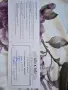 Продавам ловна карабина МАЗАЛАТ 7,62х54, снимка 1