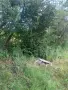 Вила Макоцево - Овче Бърдо, снимка 2