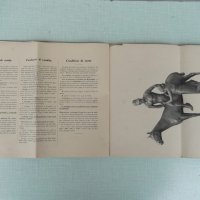 Книга "Moderne und antike bronzen-Franz R.Conrad" - 64 стр., снимка 4 - Специализирана литература - 31244744