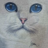 Нова дамска сива тениска с 3D принт Котка със сини очи, снимка 9 - Тениски - 29126621