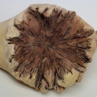 Дървена гъба водна костенурка ръчна изработка уникален подарък, снимка 7 - Статуетки - 36804590