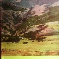Стара планина Л. Динев, снимка 1 - Енциклопедии, справочници - 29134007