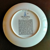 Порцелан чиния с окачване Kaiser W. Germany limited edition, снимка 7 - Колекции - 39129599