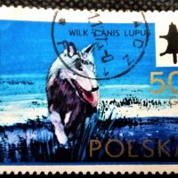 Полша, лот 1 - марки "Животни", 1*9, снимка 4 - Филателия - 31253506