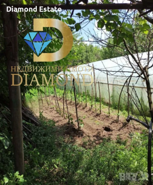 Къща с дворно място в Димитровград кв. Марийно, снимка 1