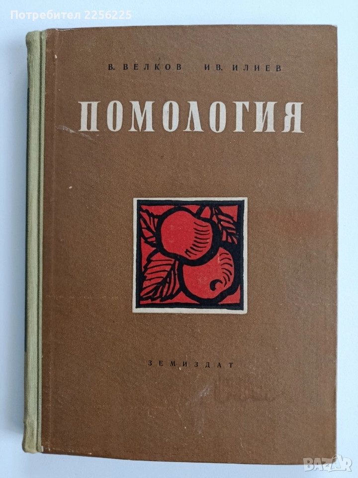 Помология 1958г, снимка 1