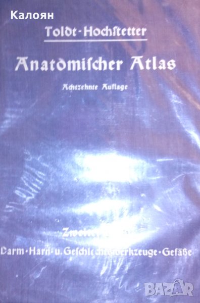 Анатомичният атлас на Толд за студенти и лекари. Том 2 (немски език), снимка 1