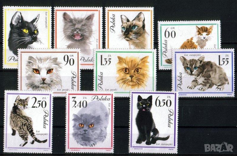 Полша 1964 - котки MNH , снимка 1