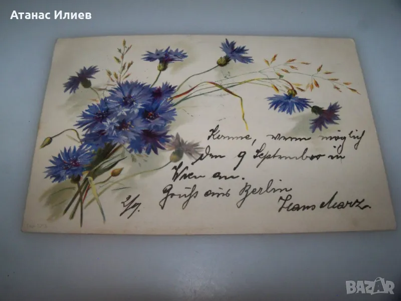 Красива австрийска пощенска картичка цветя, 1899г., снимка 1