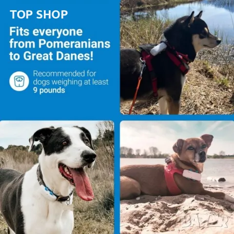 Водоустойчив GPS тракер за кучета, снимка 4 - За кучета - 48735359