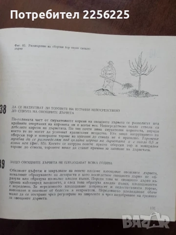 700 Съвета за любителя овощар, снимка 9 - Специализирана литература - 50914034