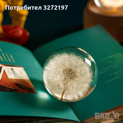 FUFIZU Кристална топка-глухарче