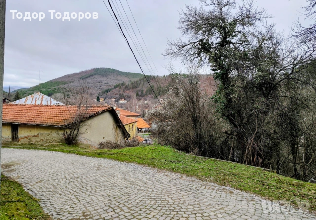 Парцел в с. Дивля, област Перник, снимка 10 - Парцели - 54305864