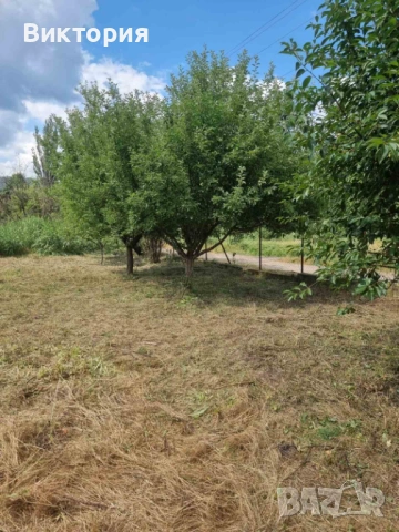 Частно лице продава имот в с. Крайници,община Дупница, област Кюстендил. , снимка 9 - Парцели - 53172205