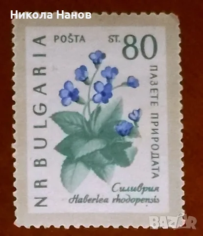 Български пощенски марки с цветя. Серия "Пазете природата". 1960 г., снимка 7 - Филателия - 55865910