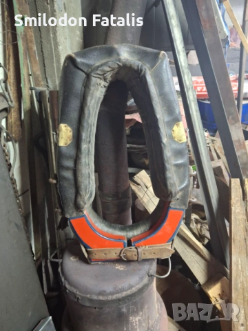 Хамут за кон