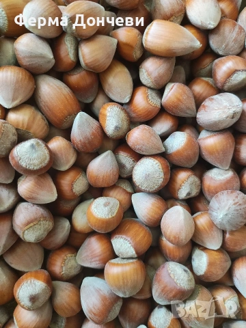 БИО Лешници "Дончеви" с черупка с БЕЗПЛАТНО начупване