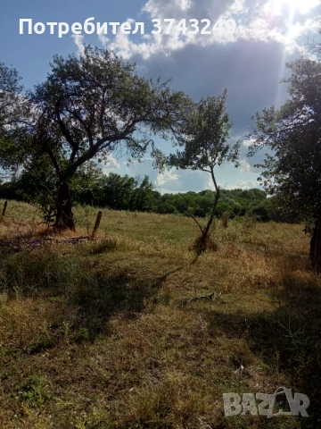 Продавам дворно място, снимка 6 - Парцели - 52966530